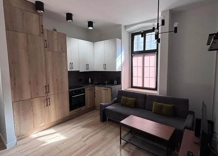 Zabrska Xi Cozy Апартаменты Катовице