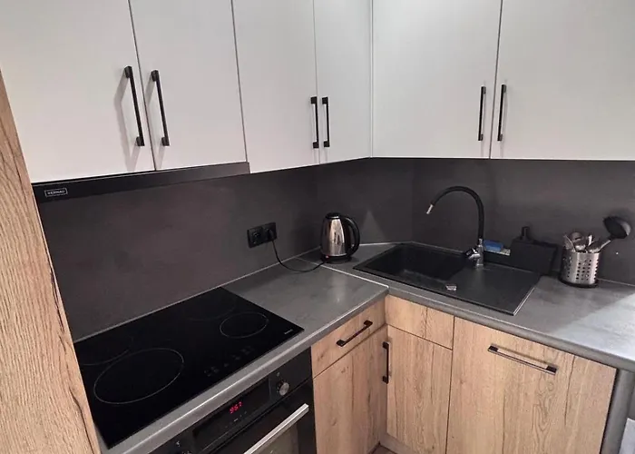 Апартаменты Zabrska Xi Cozy Катовице